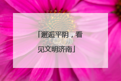 邂逅平阴，看见文明济南