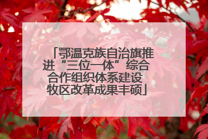 鄂温克族自治旗推进“三位一体”综合合作组织体系建设 牧区改革成果丰硕