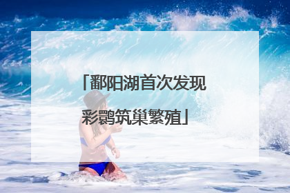 鄱阳湖首次发现彩鹮筑巢繁殖