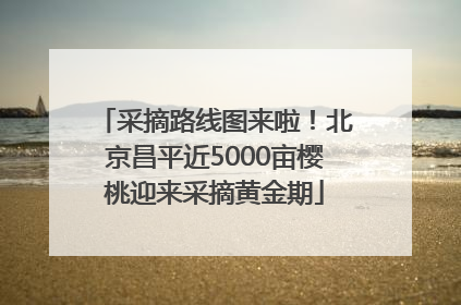 采摘路线图来啦！北京昌平近5000亩樱桃迎来采摘黄金期