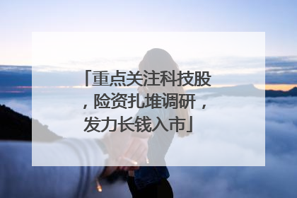 重点关注科技股，险资扎堆调研，发力长钱入市