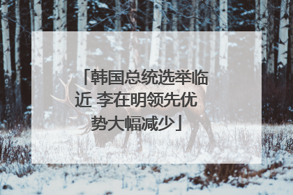 韩国总统选举临近 李在明领先优势大幅减少