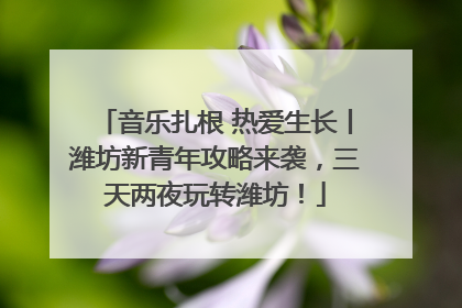 音乐扎根 热爱生长丨潍坊新青年攻略来袭，三天两夜玩转潍坊！