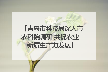 青岛市科技局深入市农科院调研 共促农业新质生产力发展