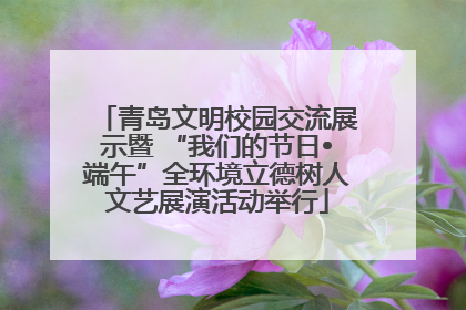 青岛文明校园交流展示暨 “我们的节日•端午”全环境立德树人文艺展演活动举行