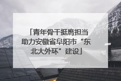 青年骨干挺膺担当 助力安徽省阜阳市“东北大外环”建设