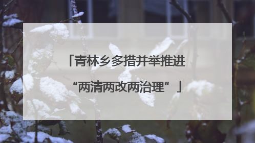 青林乡多措并举推进“两清两改两治理”