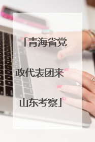青海省党政代表团来山东考察