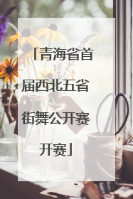 青海省首届西北五省街舞公开赛开赛