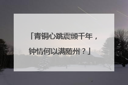 青铜心跳震颤千年，钟情何以满随州？