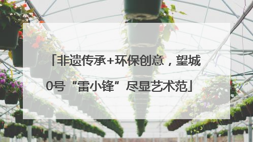 非遗传承+环保创意，望城0号“雷小锋”尽显艺术范