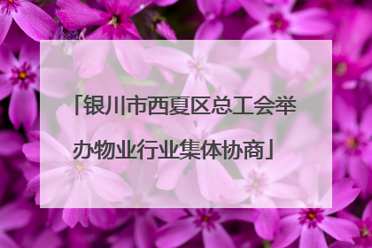 银川市西夏区总工会举办物业行业集体协商