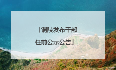 铜陵发布干部任前公示公告
