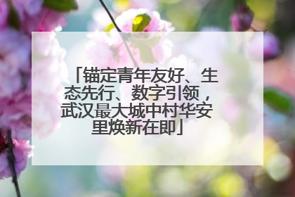 锚定青年友好、生态先行、数字引领，武汉最大城中村华安里焕新在即