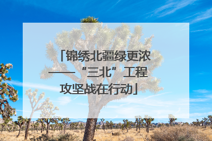 锦绣北疆绿更浓——“三北”工程攻坚战在行动