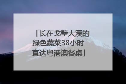长在戈壁大漠的绿色蔬菜38小时直达粤港澳餐桌