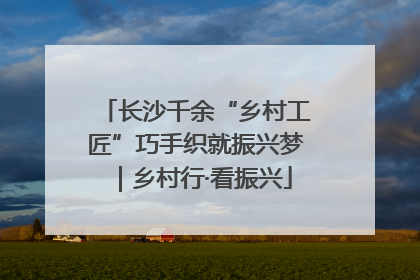 长沙千余“乡村工匠”巧手织就振兴梦｜乡村行·看振兴
