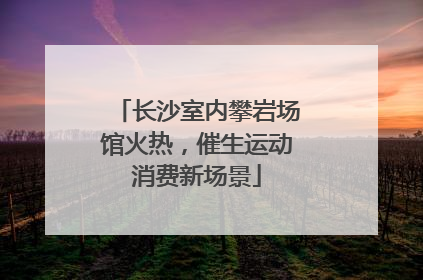 长沙室内攀岩场馆火热，催生运动消费新场景