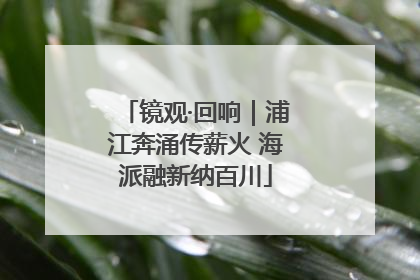 镜观·回响｜浦江奔涌传薪火 海派融新纳百川