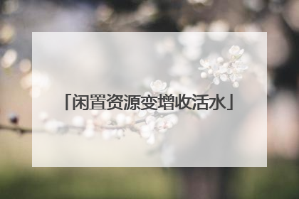 闲置资源变增收活水