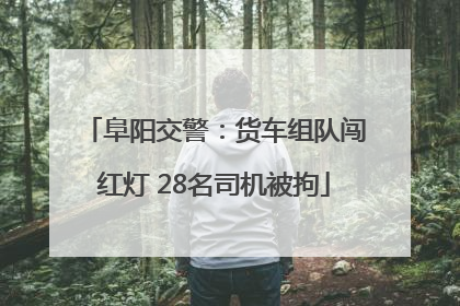 阜阳交警：货车组队闯红灯 28名司机被拘