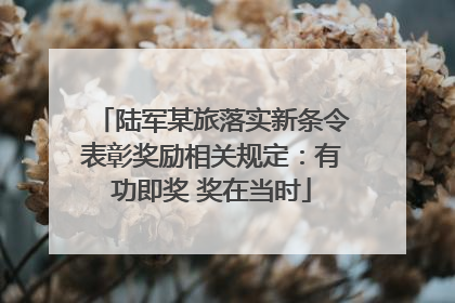 陆军某旅落实新条令表彰奖励相关规定：有功即奖 奖在当时