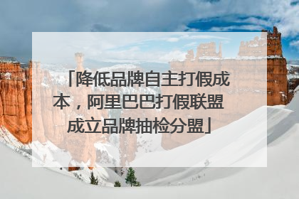 降低品牌自主打假成本，阿里巴巴打假联盟成立品牌抽检分盟