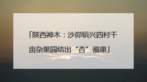 陕西神木：沙峁镇兴四村千亩杂果园结出“杏”福果
