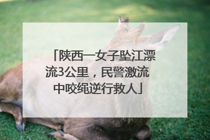 陕西一女子坠江漂流3公里，民警激流中咬绳逆行救人