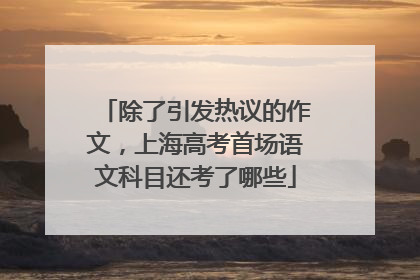 除了引发热议的作文，上海高考首场语文科目还考了哪些