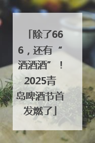 除了666，还有“酒酒酒”！2025青岛啤酒节首发燃了