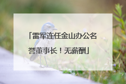 雷军连任金山办公名誉董事长！无薪酬