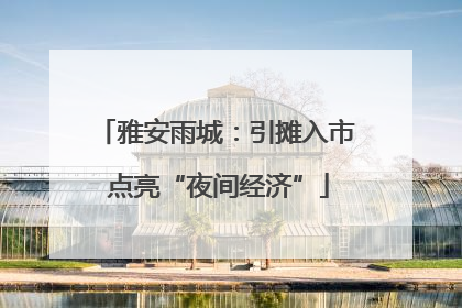 雅安雨城：引摊入市 点亮“夜间经济”