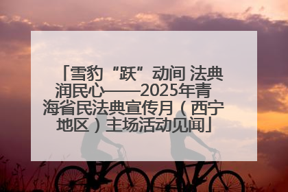雪豹“跃”动间 法典润民心——2025年青海省民法典宣传月（西宁地区）主场活动见闻