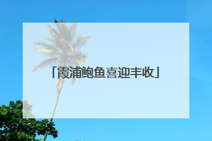 霞浦鲍鱼喜迎丰收