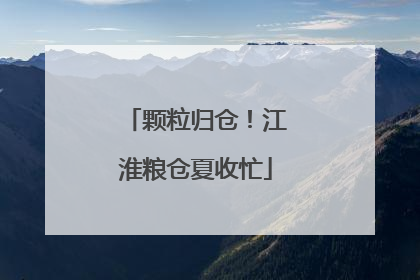 颗粒归仓！江淮粮仓夏收忙