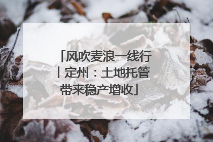 风吹麦浪一线行丨定州：土地托管带来稳产增收