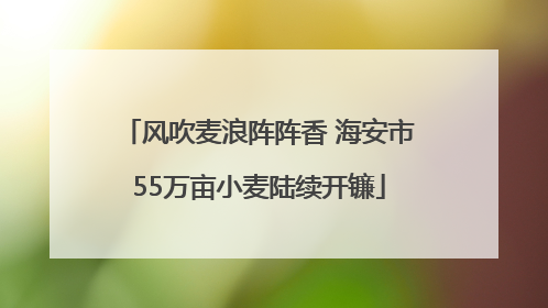 风吹麦浪阵阵香 海安市55万亩小麦陆续开镰
