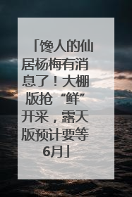 馋人的仙居杨梅有消息了！大棚版抢“鲜”开采，露天版预计要等6月