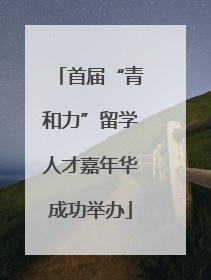 首届“青和力”留学人才嘉年华成功举办