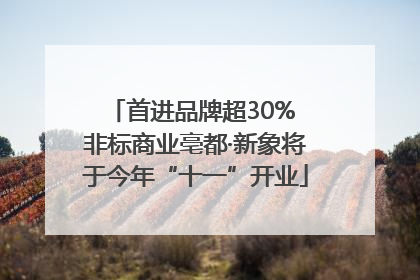 首进品牌超30% 非标商业亳都·新象将于今年“十一”开业