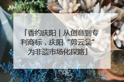 香约庆阳｜从创意到专利商标，庆阳“剪云裳”为非遗市场化探路