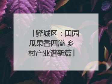 驿城区：田园瓜果香四溢 乡村产业谱新篇