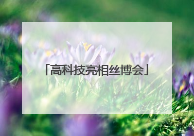 高科技亮相丝博会
