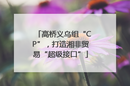 高桥义乌组“CP”，打造湘非贸易“超级接口”