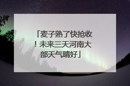 麦子熟了快抢收！未来三天河南大部天气晴好