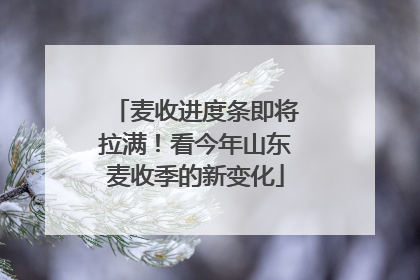 麦收进度条即将拉满！看今年山东麦收季的新变化