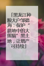 黑龙江种粮大户邹德海：保护“耕地中的大熊猫”黑土地，让增产可持续