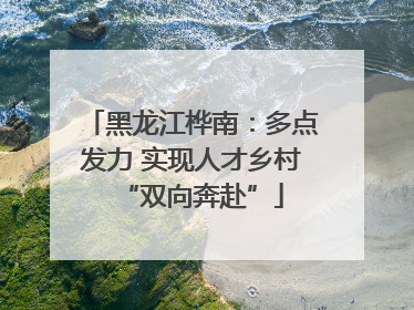 黑龙江桦南：多点发力 实现人才乡村“双向奔赴”
