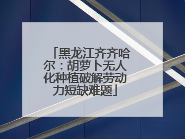 黑龙江齐齐哈尔：胡萝卜无人化种植破解劳动力短缺难题
